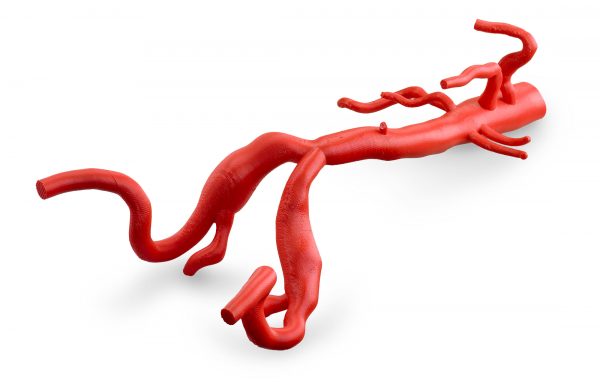 ABSPlus-P430 medical model