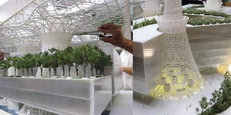 Peter McCann Architects